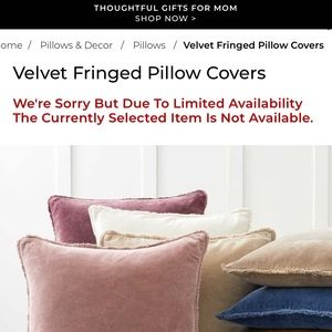 22” Pottery Barn Velvet Fringe Pillow Cover Blush